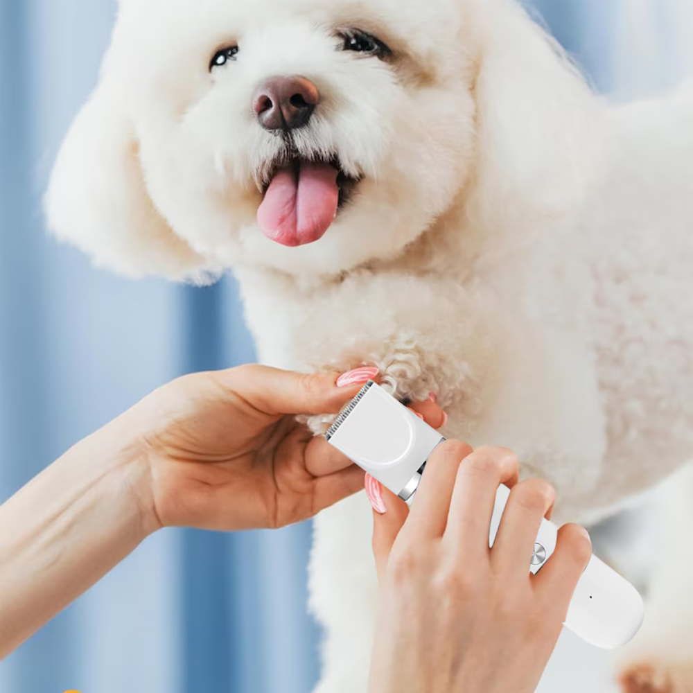 4 in 1 Pet Grooming Kit